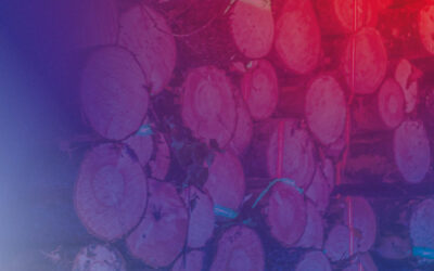 När travmätning blir datadriven öppnas nya möjligheter.